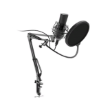 Микрофон RITMIX RDM-169, черный, настольный (1/8)