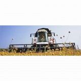 Grain harvesters ACROS 595 Plus