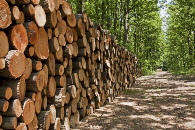 4-В Сибири отмечено сокращение экспорта необработанных лесоматериалов